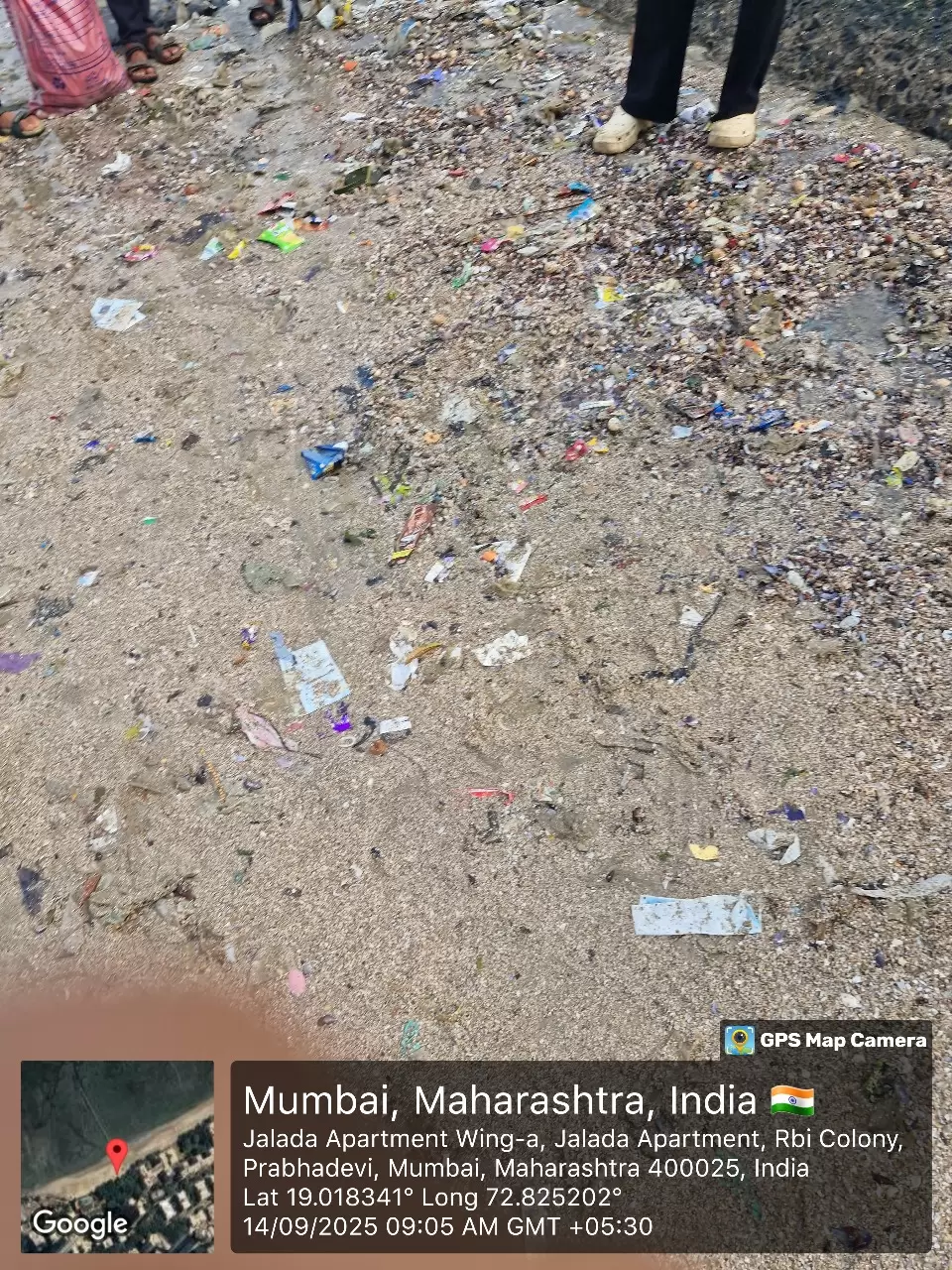 NGO for beach cleaning near me