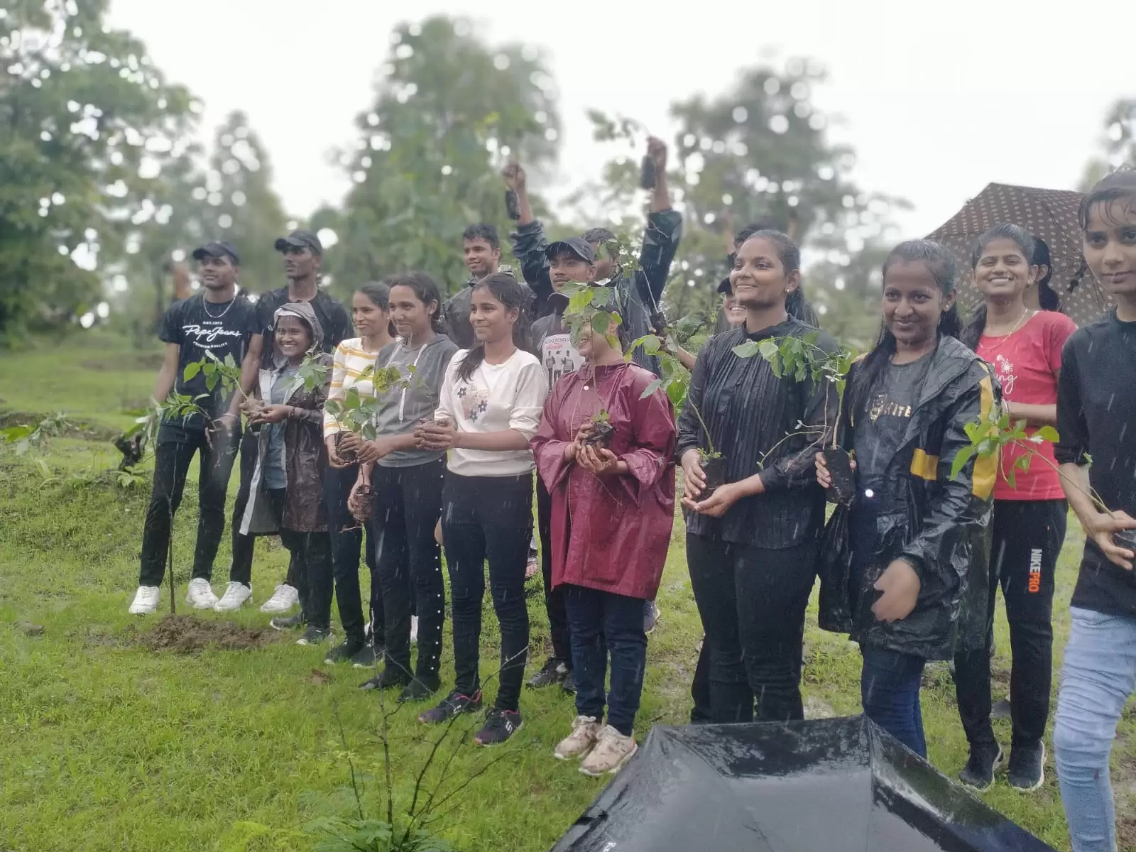 Tree Plantation ngo in thane