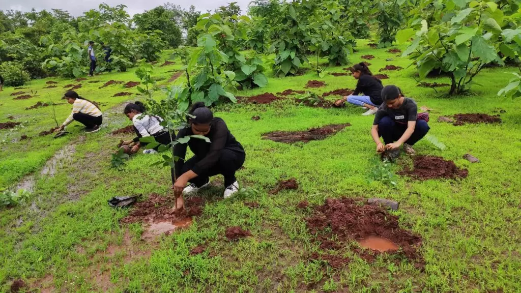 Support “TARUMAHIMAN” The Mega Tree Plantation Drive (Glory of tree planting)