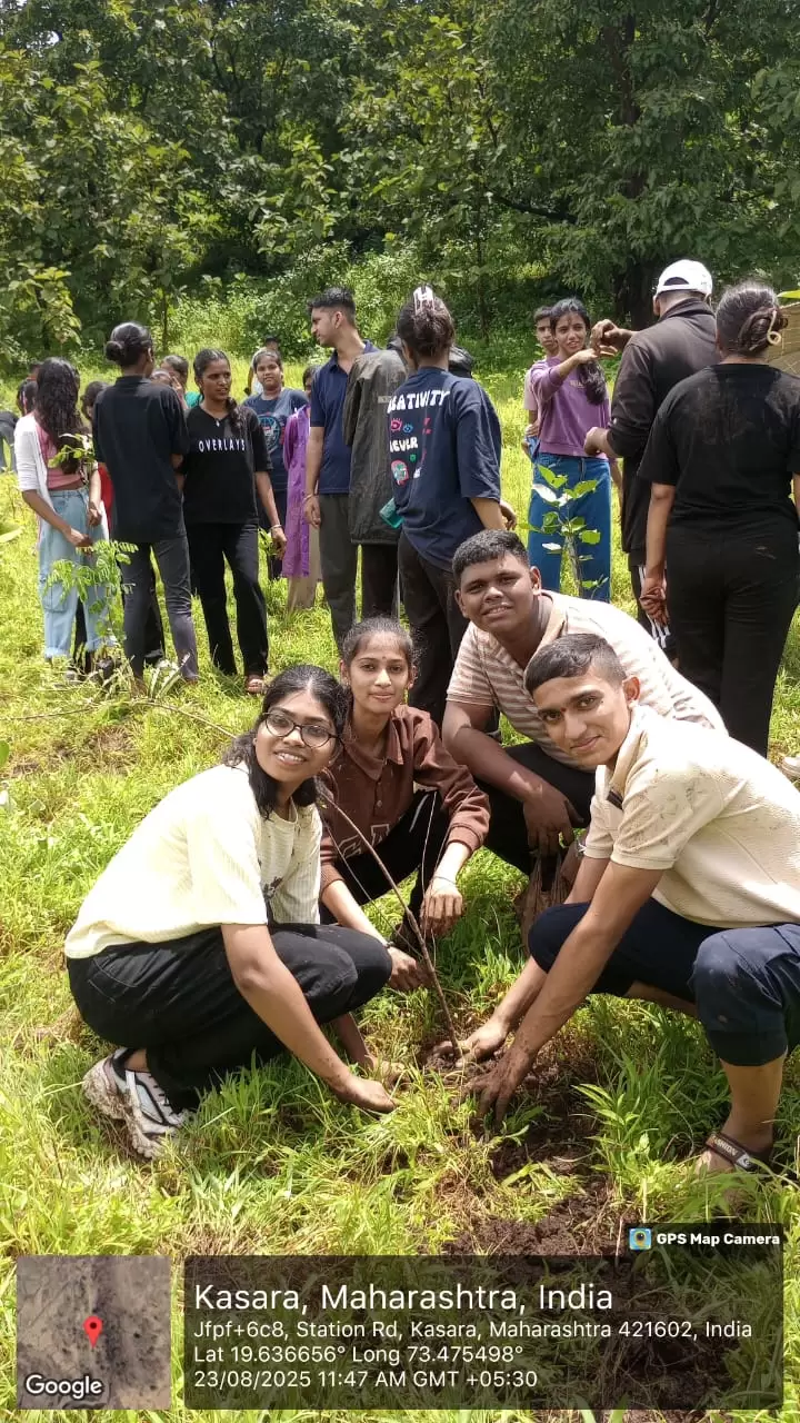 Tree Plantation activities in thane