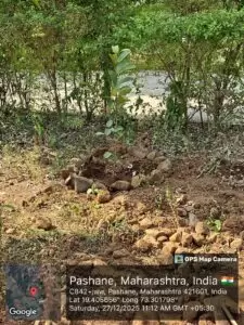 SPT Tree Plantation Drive with Greenwave Global Ltd