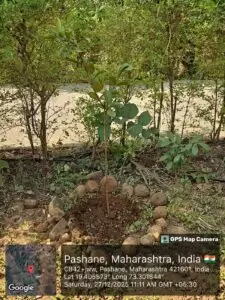 SPT Tree Plantation Drive with Greenwave Global Ltd