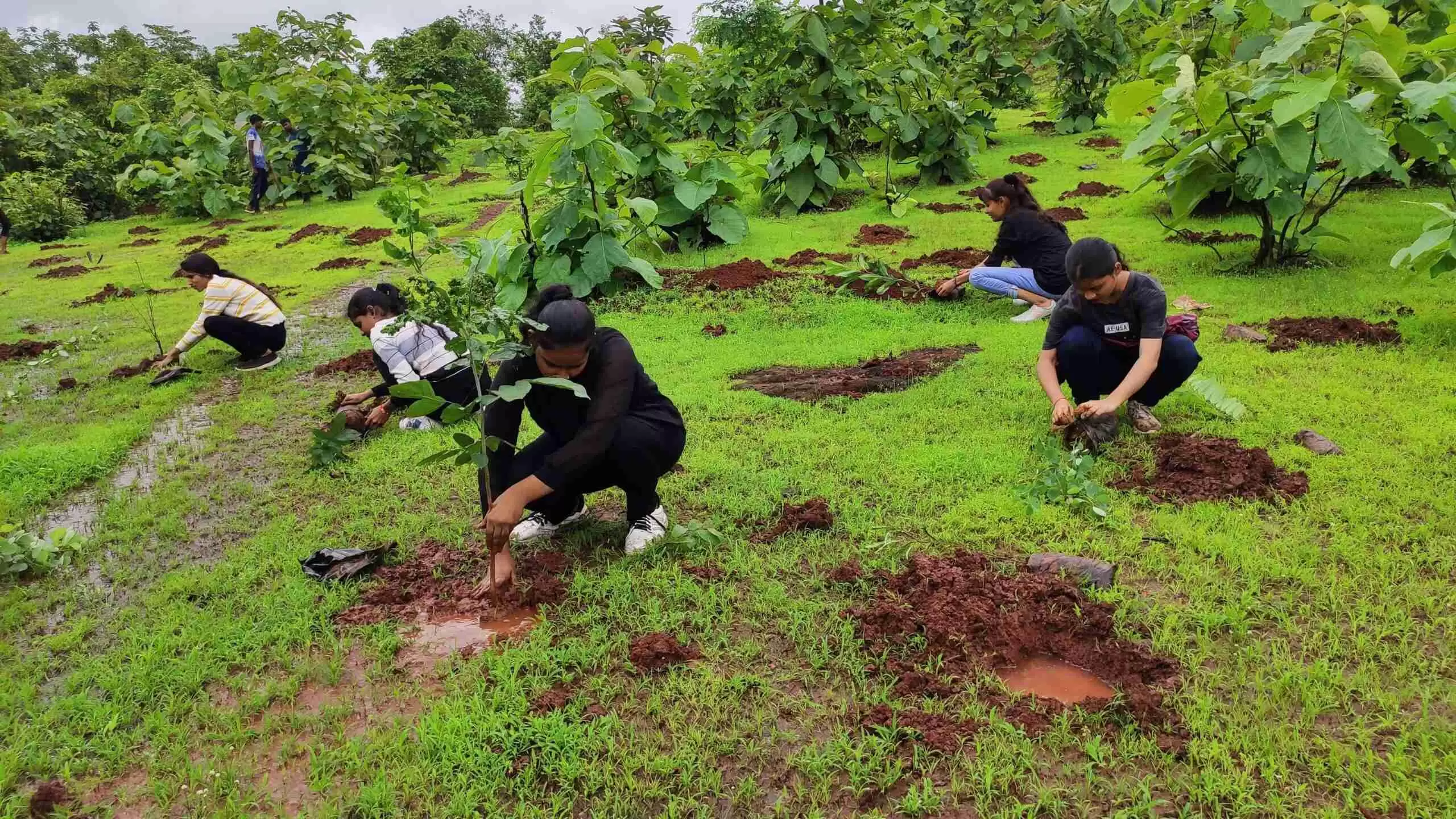 ngo in thane for Tree Plantation