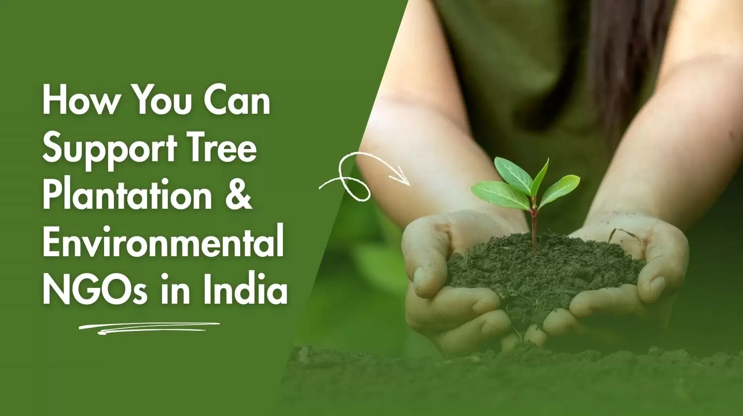 How You Can Support Tree Plantation & Environmental NGOs in India