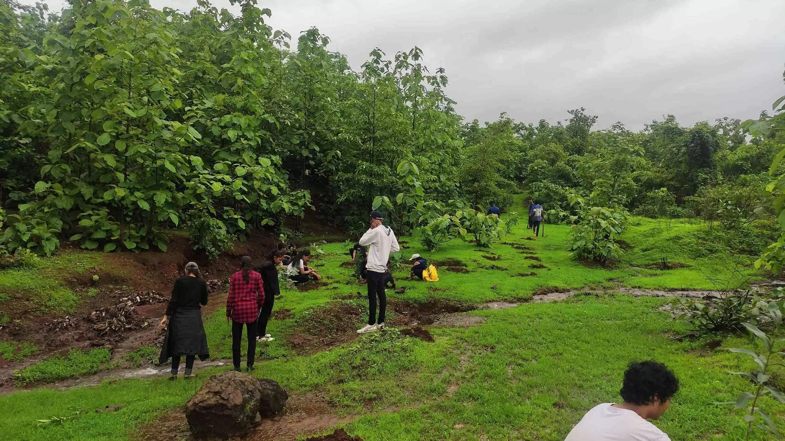 ngo in thane for Tree Plantation