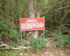 Most Dangerous