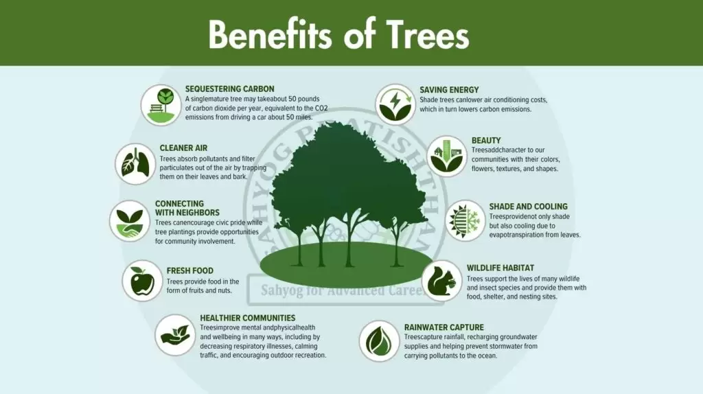Benefits of Tree Plantation in India | Why Planting Trees is Important