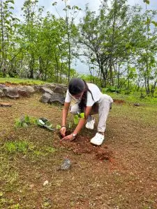 CSR tree plantation donation in Maharashtra