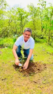 CSR tree plantation donation in Mumbai
