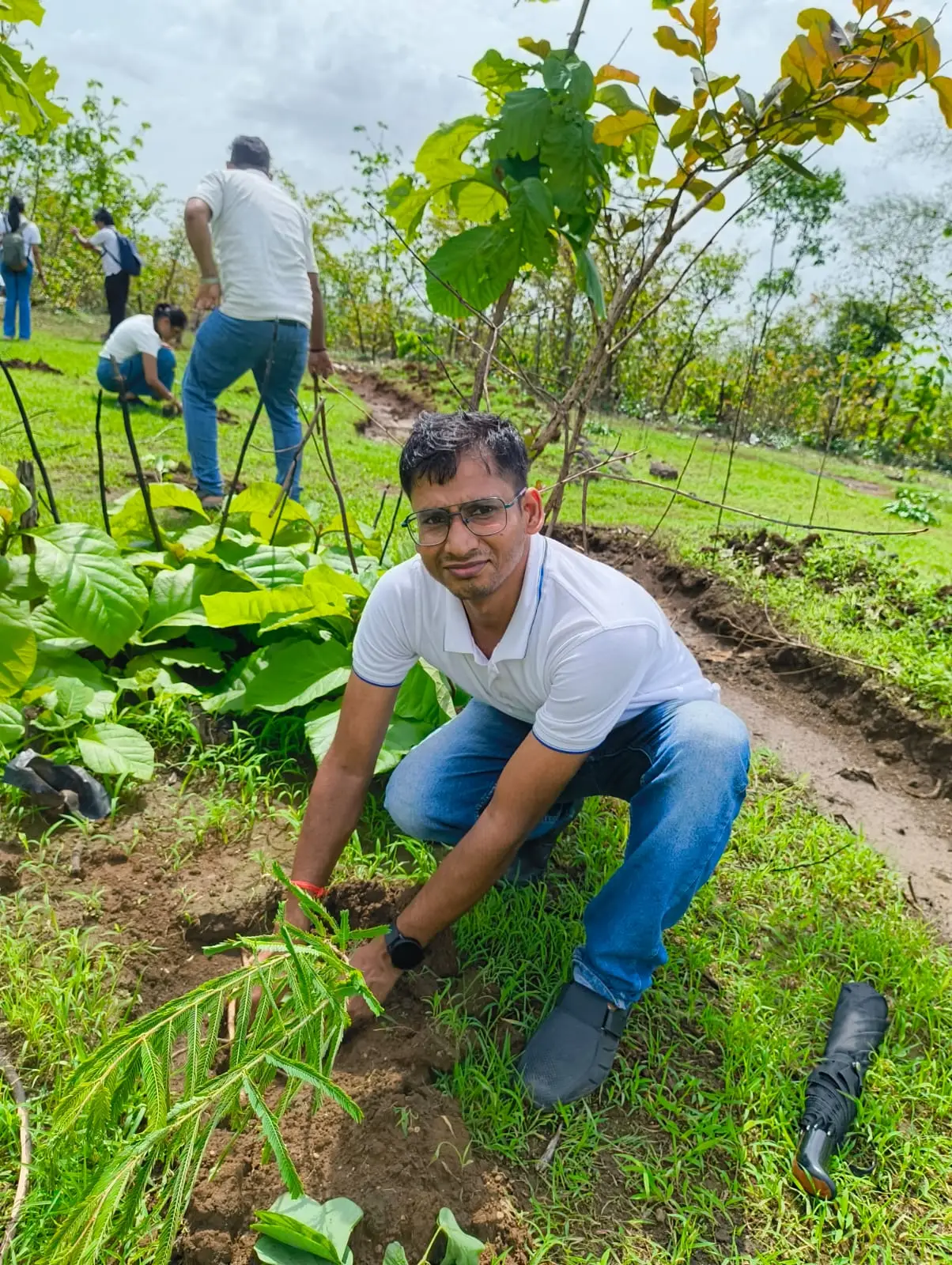CSR tree plantation donation in Mumbai