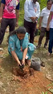 CSR tree plantation donation in Maharashtra